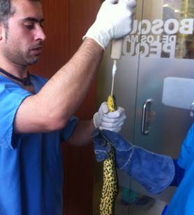 Clinica Veterinaria para reptiles en Madrid